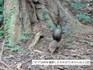 DSC01498.jpg