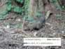 DSC01499.jpg