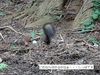 DSC01500.jpg