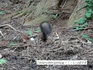 DSC01500.jpg