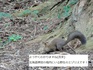 DSC01501.jpg