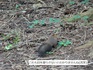 DSC01502.jpg