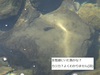 DSC01530.jpg