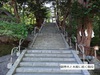 DSC01540.jpg