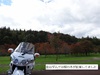 DSC01575.jpg