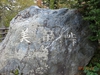 DSC01662.jpg