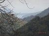 DSC01664.jpg