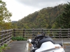 DSC01665.jpg