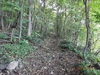 DSC01690.jpg