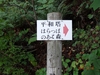 DSC01691.jpg