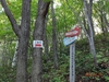 DSC01692.jpg