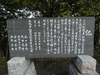 DSC01694.jpg