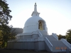 DSC01695.jpg