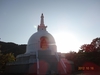 DSC01699.jpg