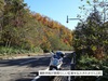 DSC01879.jpg