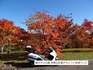DSC01887.jpg