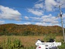 DSC01905.jpg