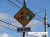 DSC01911.jpg
