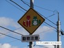 DSC01911.jpg