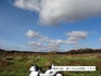 DSC01915.jpg