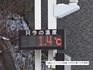 DSC02048.jpg