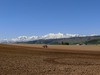 CIMG1767.jpg