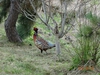 DSC03374.jpg