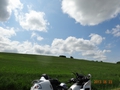 DSC04382.jpg