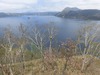 摩周湖山桜.jpg