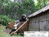 DSC05211.jpg