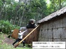 DSC05211.jpg