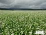 DSC05450.jpg