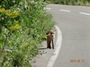 DSC05746.jpg