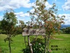 P1020640.JPG