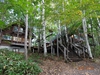 DSC06050.jpg