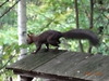 DSC06057.jpg