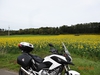 DSC06119.jpg