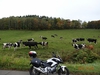 DSC06162.jpg