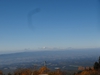DSC06229.jpg