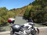 DSC06288.jpg