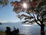 DSC06529.jpg