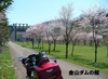 P1020700.jpg